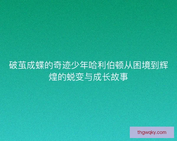 破茧成蝶的奇迹少年哈利伯顿从困境到辉煌的蜕变与成长故事
