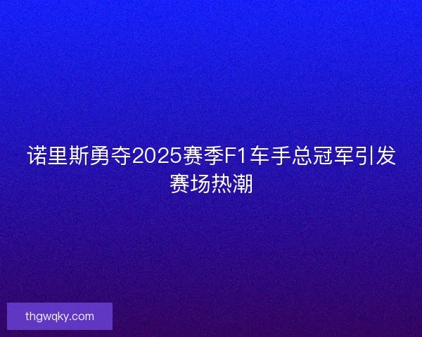 诺里斯勇夺2025赛季F1车手总冠军引发赛场热潮 诺里斯勇夺2025赛季F1车手总冠军引发赛场热潮