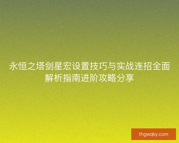 永恒之塔剑星宏设置技巧与实战连招全面解析指南进阶攻略分享